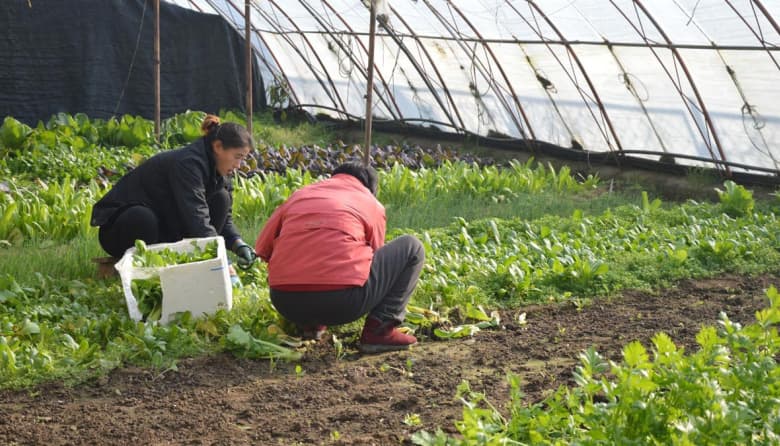 🌱 Agrojusto de Mendoza impulsa la sostenibilidad y trazabilidad blockchain en el agro