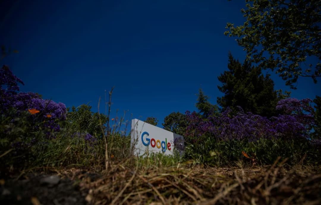 💰 🌳 Google financiará a Mombak para restaurar bosques amazónicos