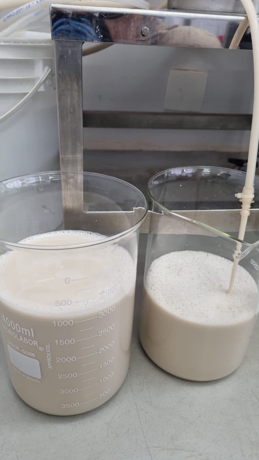 🚀 🐄 Future Cow desarrolla proteínas lácteas sin vacas con tecnología biotecnológica