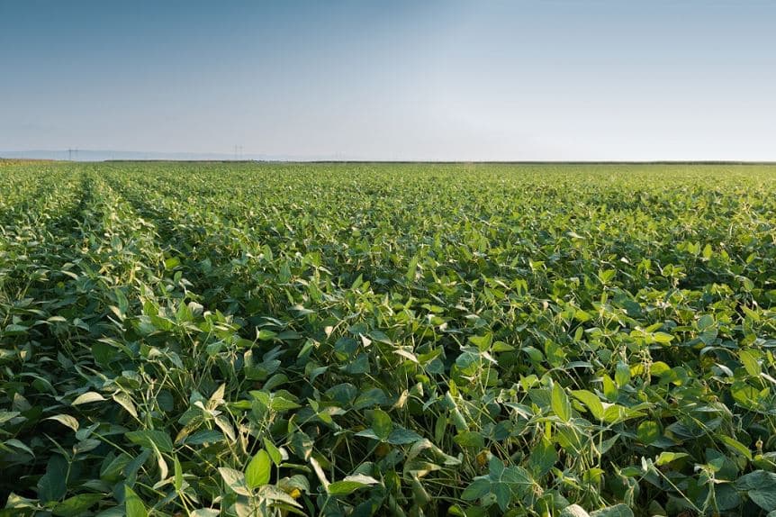 🌱 NASA Harvest y ucrop.it se asocian para trazabilidad de cultivos