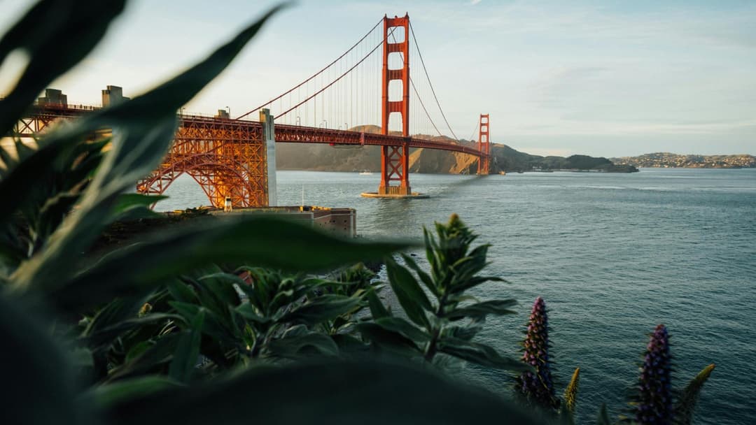 🚀 Latitud Ventures impulsa startups de IA en Latinoamérica con nuevo programa de aceleración