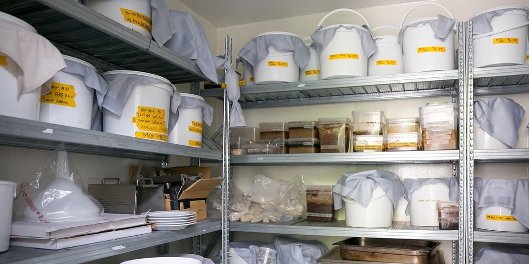 🌱 Startups agroalimentarias colombianas Koji y Sciphage reciben €100 000 para expansión global