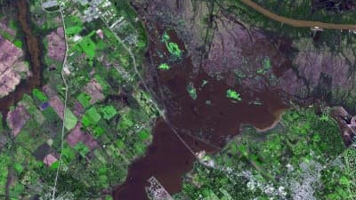 🚀 🌾 SIMA lanza predicción de rendimiento de cultivos con NASA Harvest