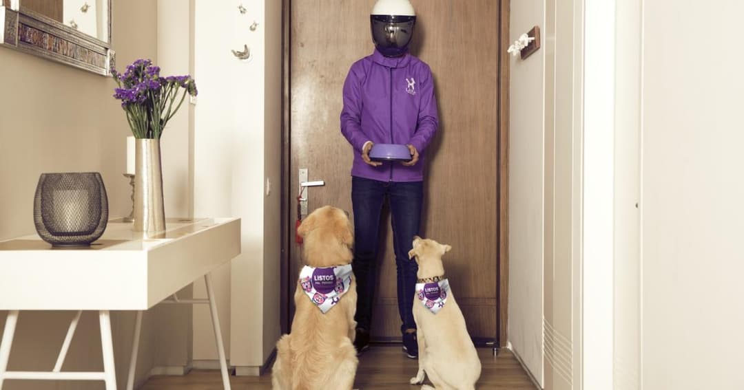 🌎 🐾 LAIKA abrirá 1.000 vacantes y expandirá tiendas físicas en Colombia