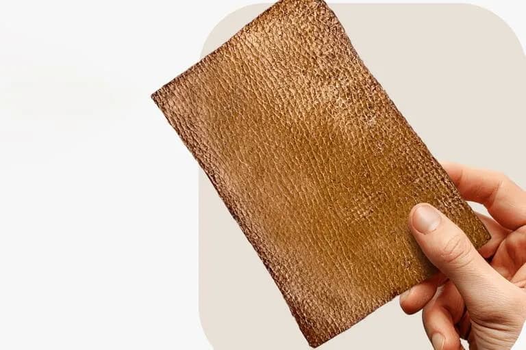 🚀 🍄 Mycorium Biotech presenta cuero vegano de hongos
