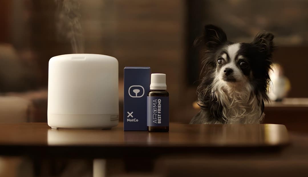 🚀 🐶 NotCo lanza IA que recrea tu aroma para calmar mascotas