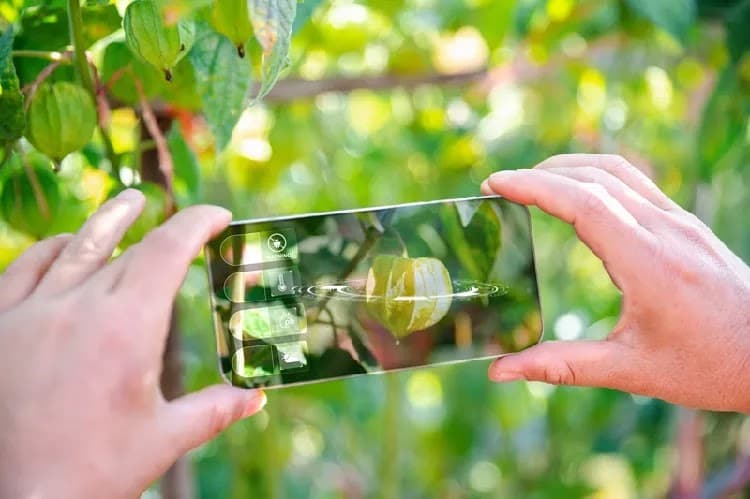 🌱 Físaro: el asistente virtual que revoluciona la agricultura chilena