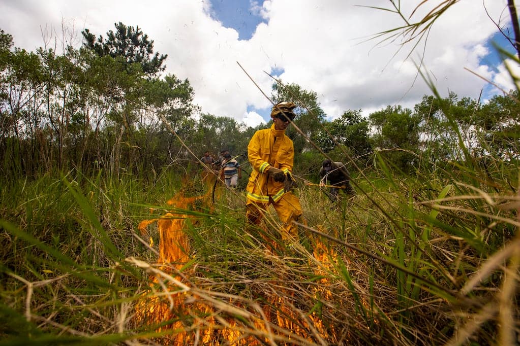 🚀 🔥 Nideport utiliza drones y satélites para detectar incendios en tiempo real