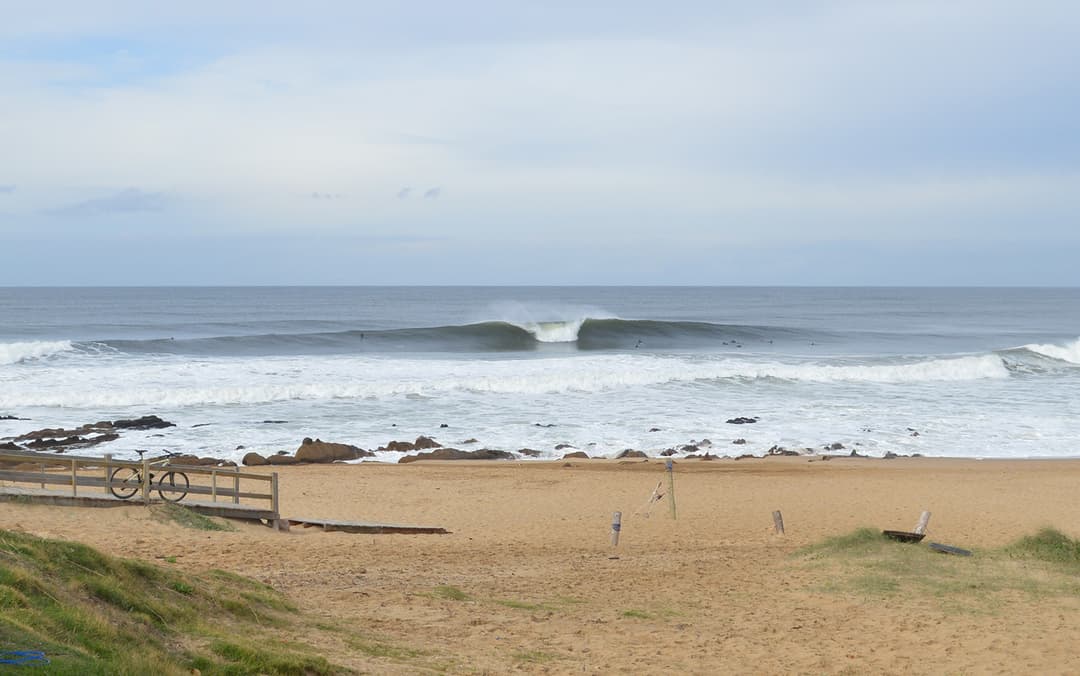 🌎 📸 Lineup supera 100 cámaras y suma 10 nuevas en el Cono Sur