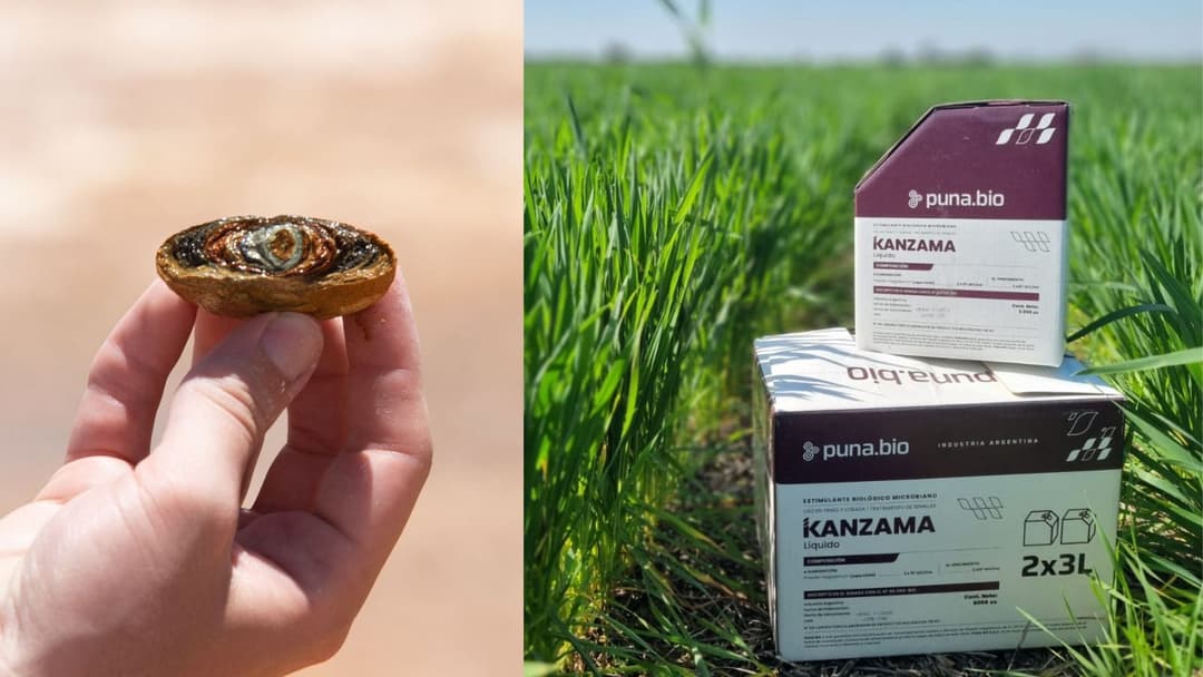 🌱 Puna Bio presenta biotecnología extremófila para el agro en Expoagro 2026