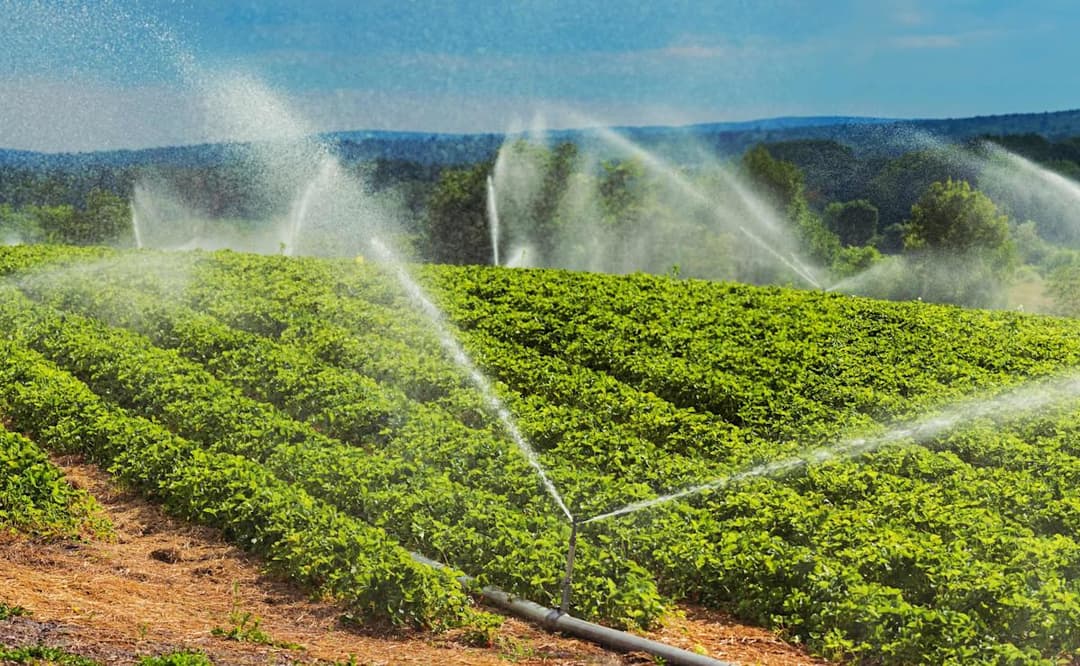 🚀 🚜 Instacrops presentará IA de riego eficiente en TechCrunch Disrupt 2025