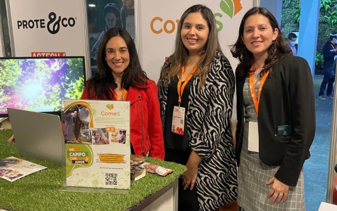 🌎 🧑‍🌾 ComeS Food: marketplace chileno que promueve trazabilidad y productores locales