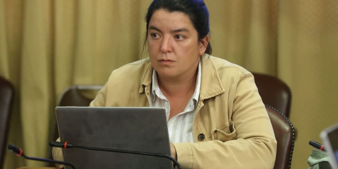 🚀 🚗 Diputada Natalia Romero exige acelerar puesta en marcha de la Ley Uber en Chile