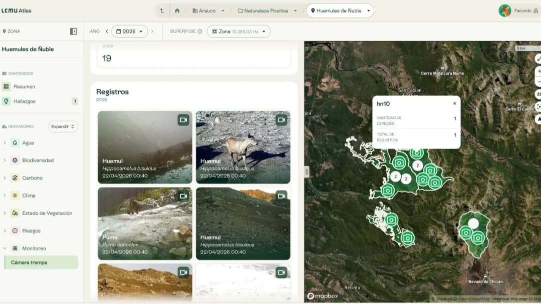 🚀 🌳 ARAUCO libera datos de biodiversidad mediante la plataforma Lemu-Atlas