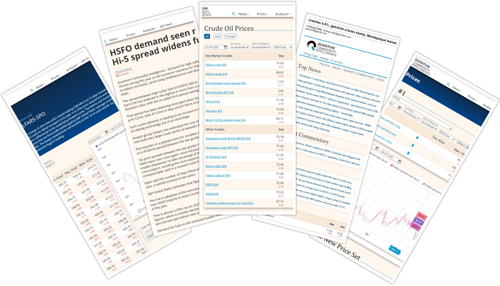 🚀 🌿 Mombak emitirá créditos de carbono por meteorización de rocas en Brasil