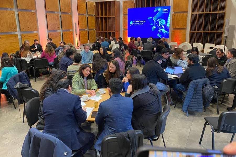 🌱 Corfo Conecta Ñuble 2025 impulsa la innovación agroindustrial en Ñuble