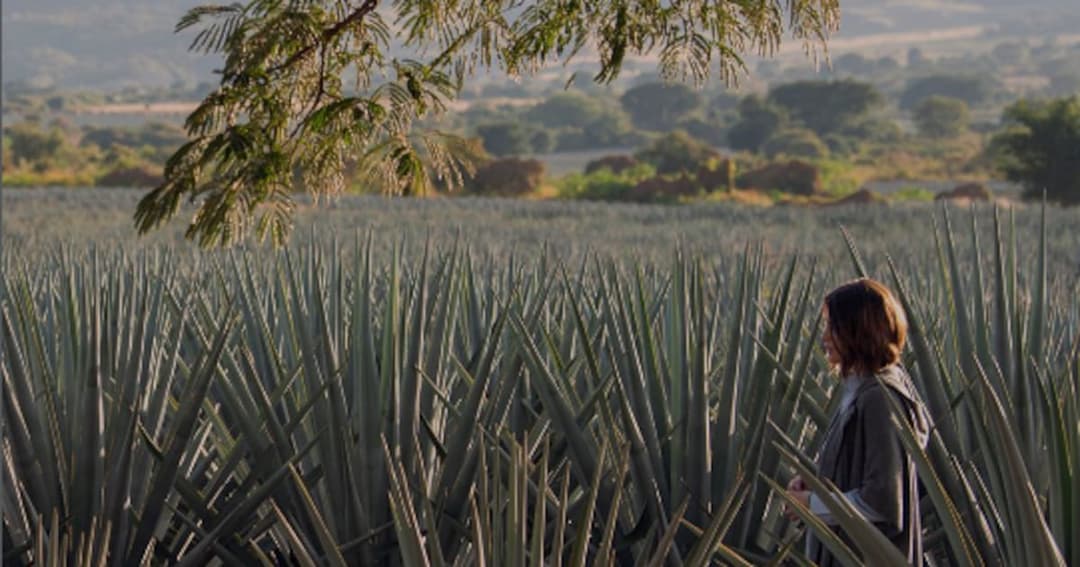 🌎 🎥 Scouter: La startup de Jalisco que atrae a Netflix con rodajes un 35% más económicos