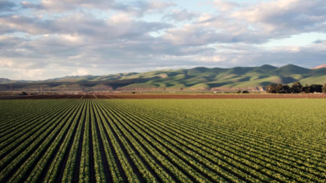 🌱 Agrifood Innovation Hub fortalece ecosistema agroalimentario en Colombia