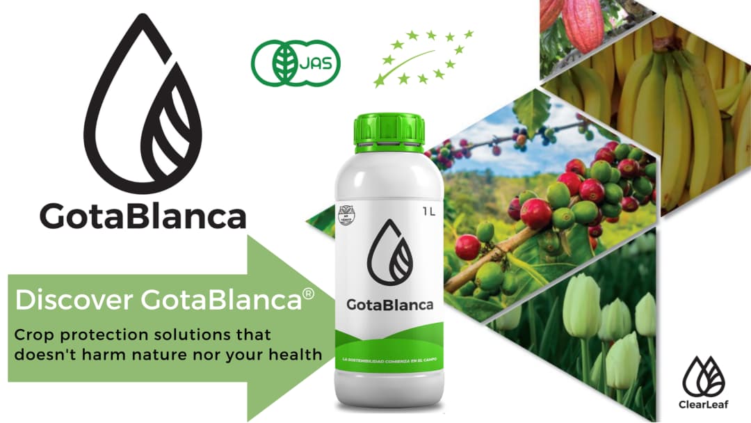 🌱 ClearLeaf revoluciona la protección postcosecha con GotaBlanca Post
