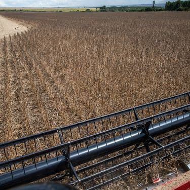 🚀 🚜 Plataformas Malevo y Nera facilitan financiamiento de labores agrícolas