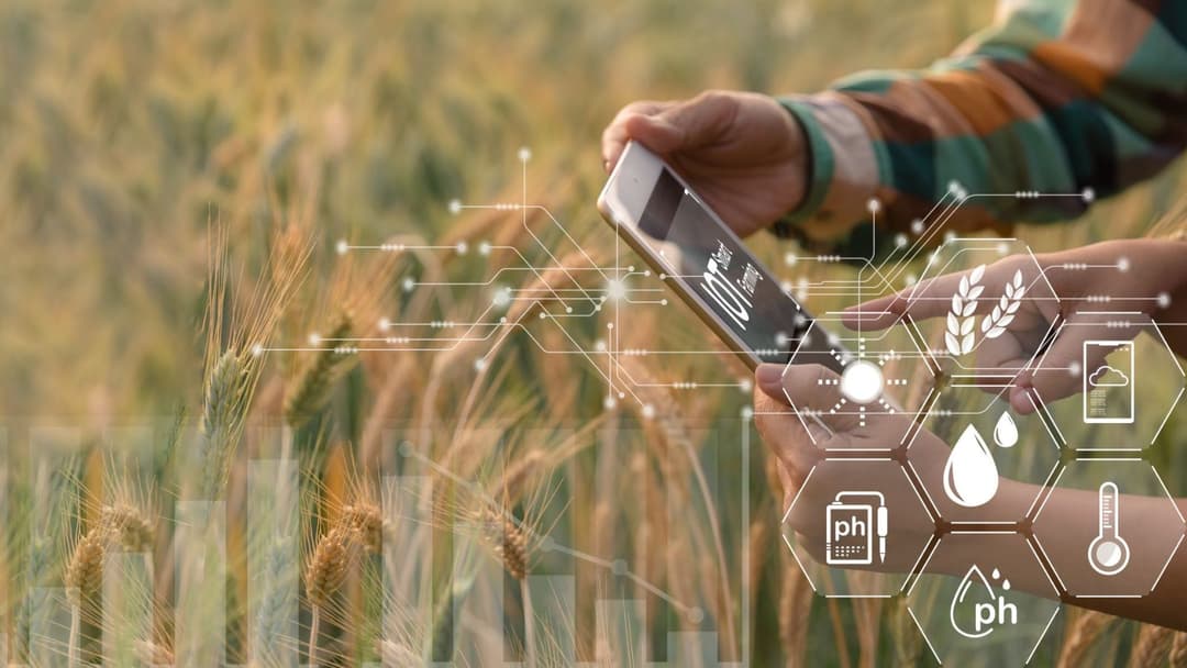 🌱 Brixton Venture Lab mapea 763 startups AgriFoodtech en LATAM
