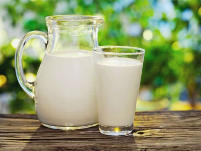 🚀 ⚖️ Productores lecheros piden a la Corte Suprema prohibir el uso de la palabra "milk" a NotCo