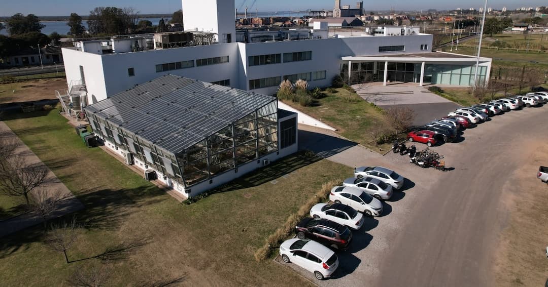 🚀 ⚖️ Guerra societaria en Bioceres: El futuro de la biotech argentina en juego