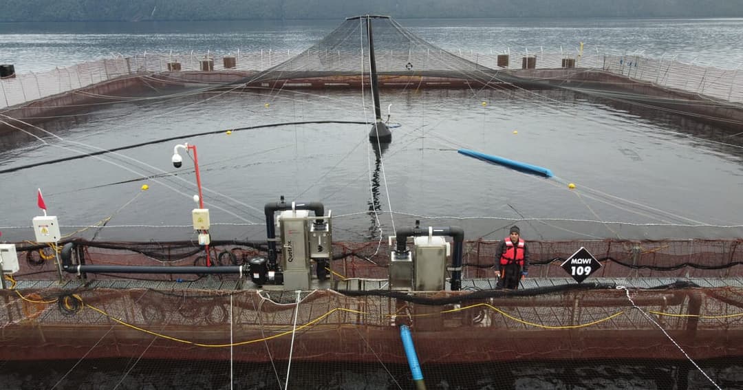 🌎 🫧 ChucaoTech impulsa la acuicultura con nanoburbujas desde Chile
