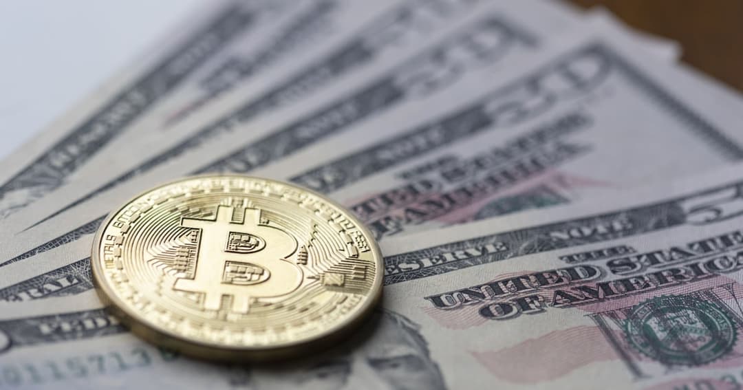 💰 Bitso revela que los dólares digitales superan al Bitcoin en Latinoamérica por primera vez