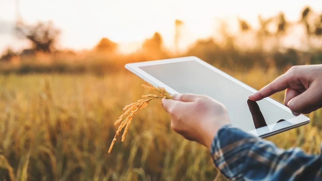 🌎 🌾 Malevo revoluciona la contratación agropecuaria con tecnología