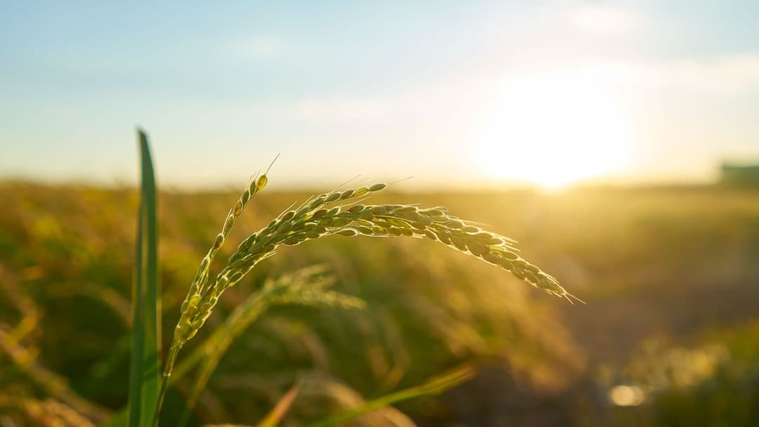 🚀 Eatable Adventures proyecta invertir US$ 1 millón en startups foodtech de Uruguay