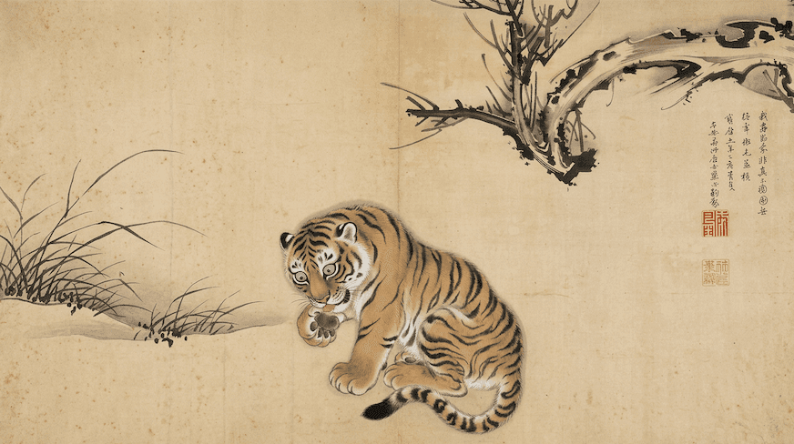 🚀 🔓 Fintual expande su plataforma de acciones con más de 11,000 activos y órdenes límite