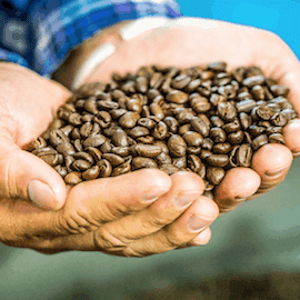 💰 🪙 Bybit invierte US$1M en EthicHub para impulsar 100 toneladas de café latinoamericano