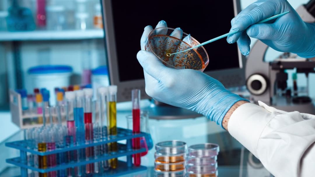 🚀 🧬 La Segunda Seguros impulsa la biotecnología al integrarse al fondo SF500