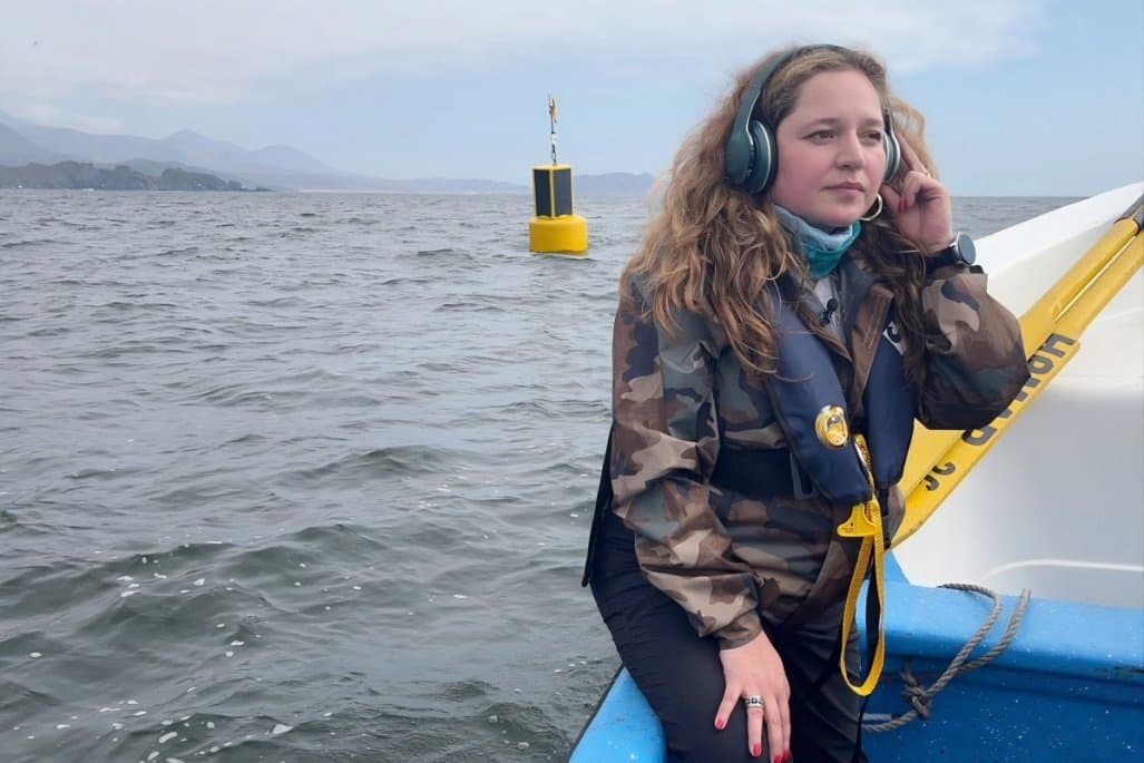 🌎 🌊 Acústica Marina evoluciona hacia una plataforma de inteligencia oceánica con IA