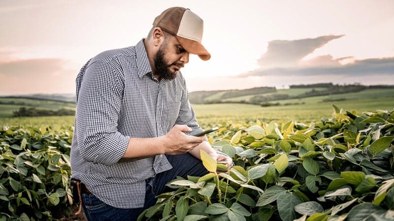 🚀 The Yield Lab Latam lanzará fondo de IA para el sector agrícola en Brasil
