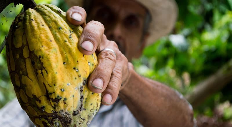 🌱 WARUWA impulsa la transformación del campo en Colombia
