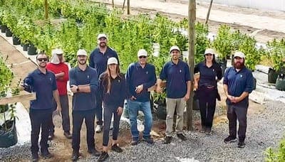 🧬 Má Botanics busca iniciar sus exportaciones a Europa