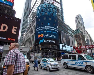 💼 Betterfly recotará su equipo de trabajo