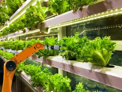 📝 Convocatoria: 'Food for the Future'