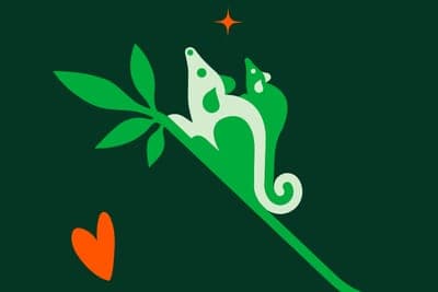🌳 Lemu buscará financiar la protección del 1% de la Tierra en 10 años.