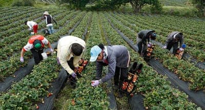 💳 Agricapital invertirá COL$25M en el país