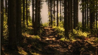 💰 Moody’s y Village Capital anuncian a las 7 startups de su programa Innovation for Ecosystem Restoration: LatAm 2023