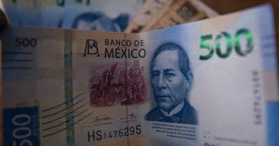 💸 Baubap levantó US$20M en deuda
