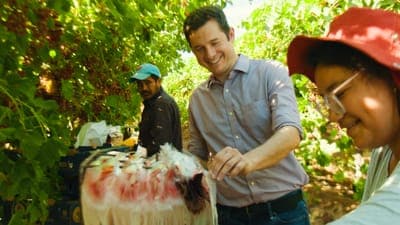 🌳 ProducePay lanza tu programa de factoraje 'Quick-Pay Marine'