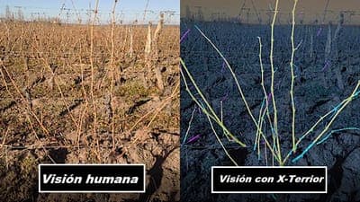   🌳 x-terrior busca apoyar a viñedos a mejorar la calidad de sus productos