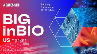 📝Convocatoria: 'BIGinBIO 2023'