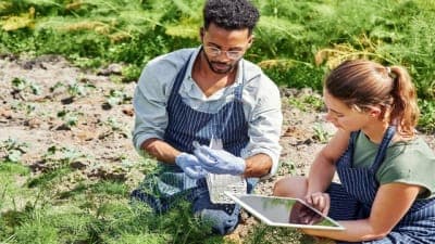 🥗 Nat4Bio fue ganadora del reto global de Santander X ´Food for the Future
