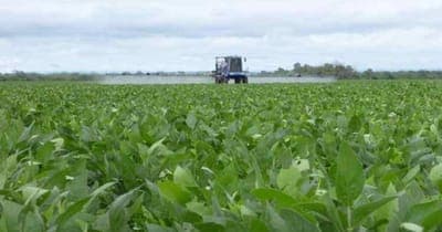 🌳 Agrohub levantó su ronda semilla de angeles inversionistas. 