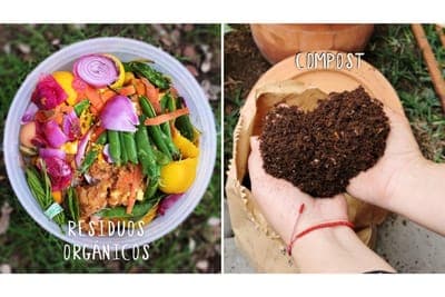 🌳 Lima Compost fue uno de los ganadores de YLAI Americas Accelerator